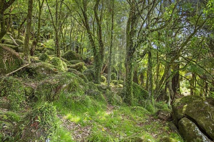 2846 Hunua Road Hunua_17