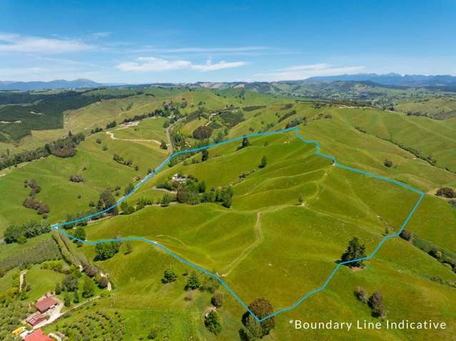 Upper Moutere Lifestyle Property for Sale