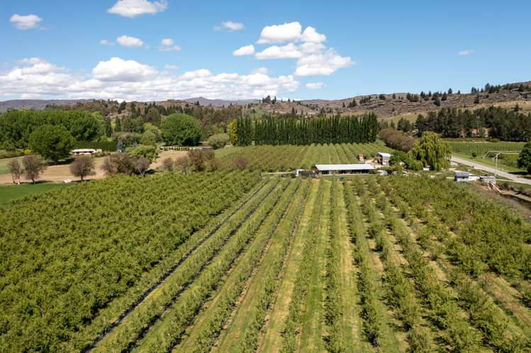 27 Conroys Road Alexandra_21