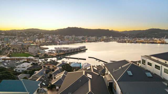10 Shannon Street Mount Victoria_4