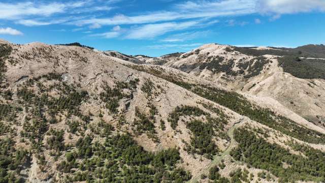 Waihoki Valley Road Pongaroa_4