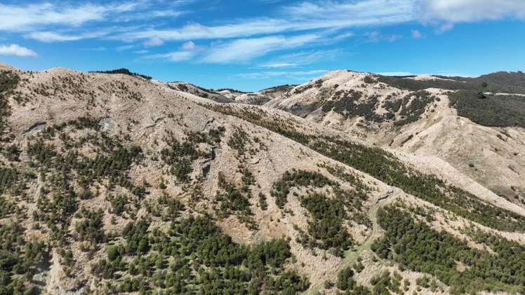 Waihoki Valley Road_4