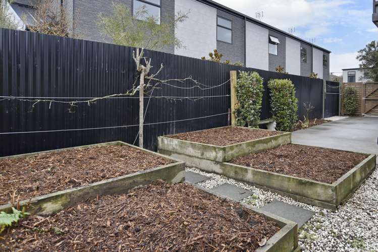 8/31 Buffon Street Waltham_14