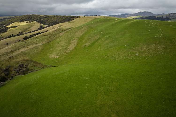 3717 Inland Kaikoura Road Mt Lyford_13