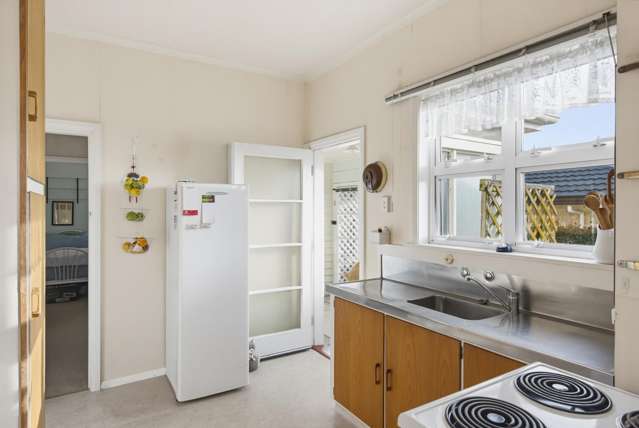 61 Salisbury Street Levin_3