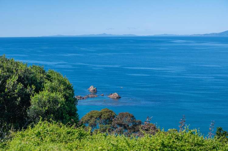 Address withheld Onetangi_19