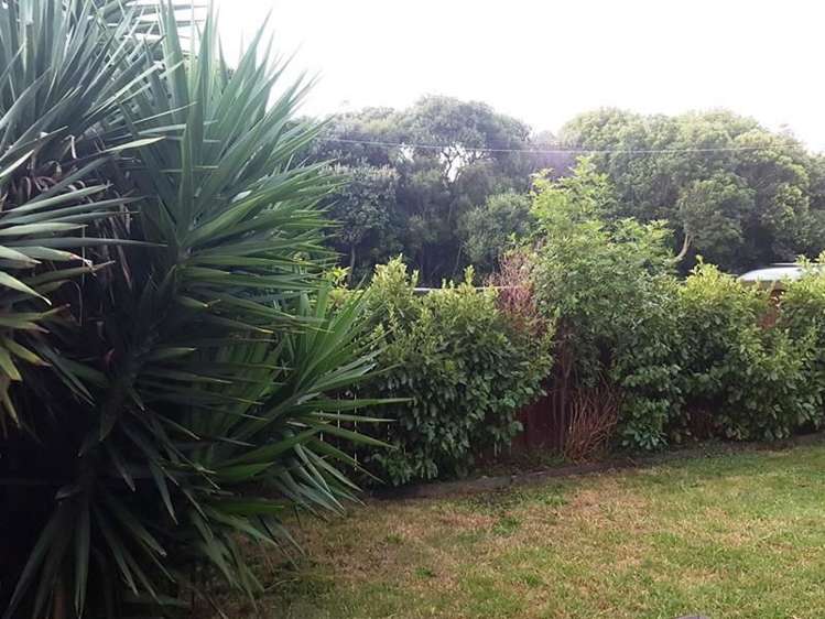 119a Abbotts Way Remuera_8