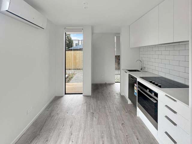 11F Hinemoa Street Spreydon_2