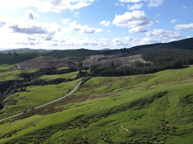 360 Speedy Road Dannevirke_2