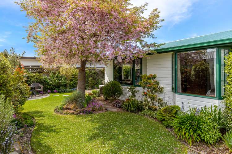 10a Brook Street Springlands_11