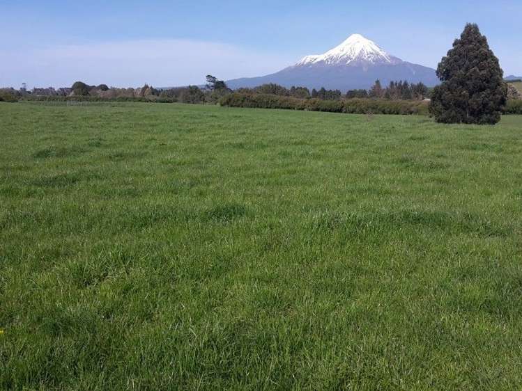 346 Rugby Road Tariki_57