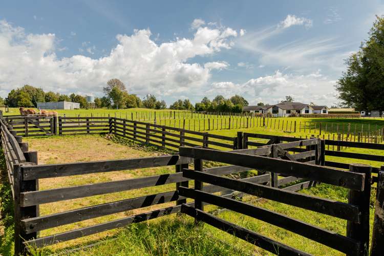 1466 Oropi Road Oropi_21