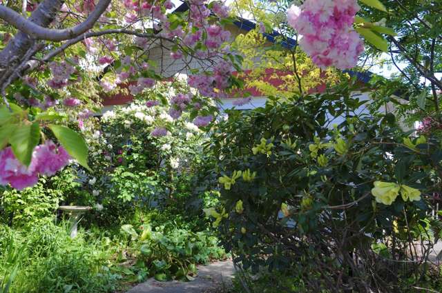 8 Paul Street Waimate_2