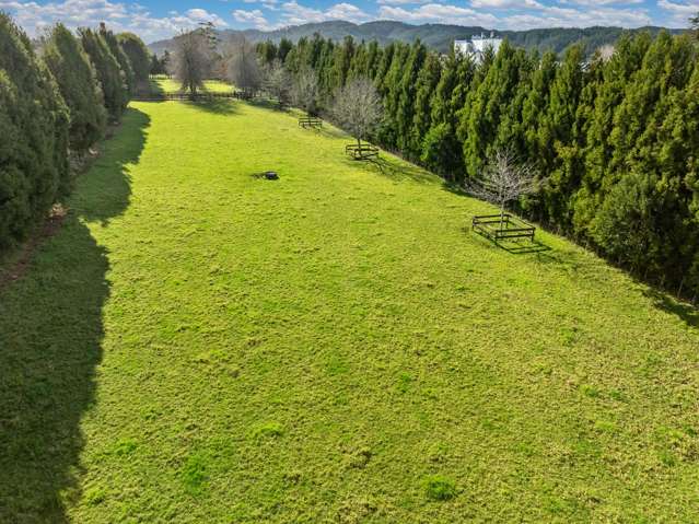 521 State Highway 1 Kauri_4
