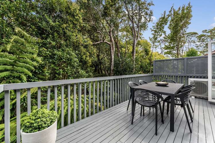 20B Corinth Street Remuera_6