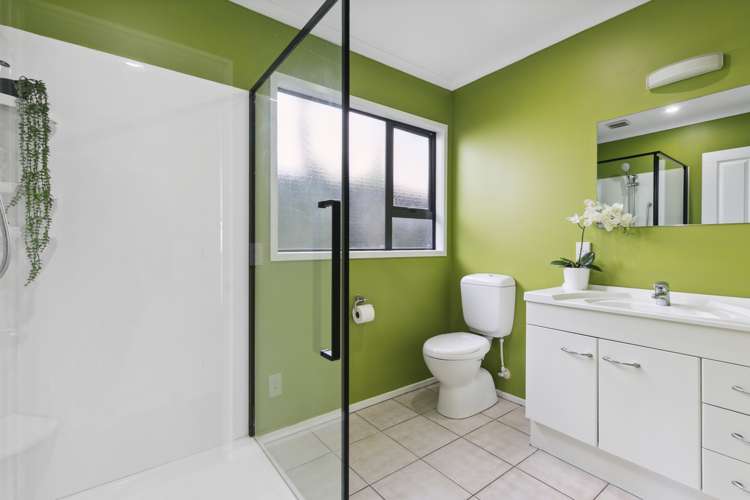 17a Manuka Street Miramar_8