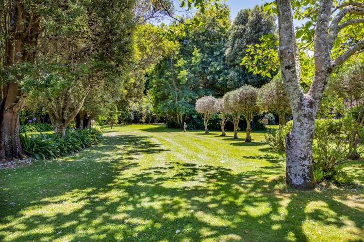 76 Wills Road Bell Block_55