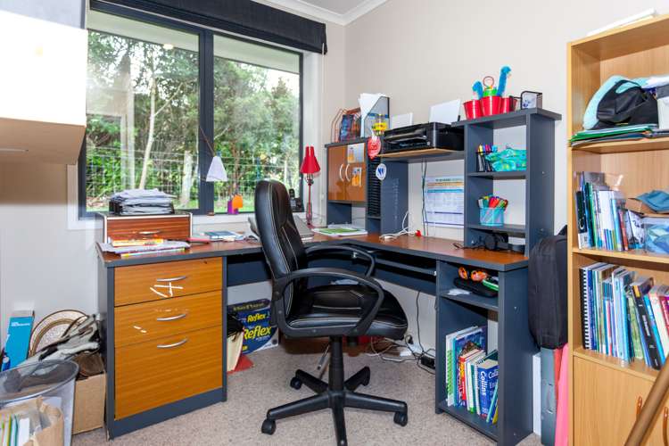 150 Beech Lane Coromandel_19