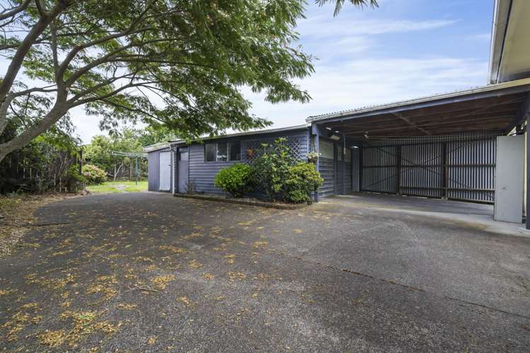 61 Larnoch Road Henderson_15