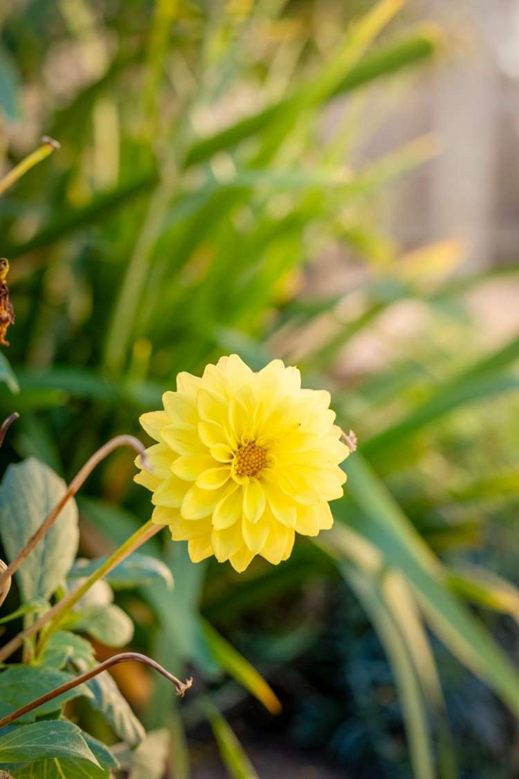 2/280 Halswell Road Halswell_15