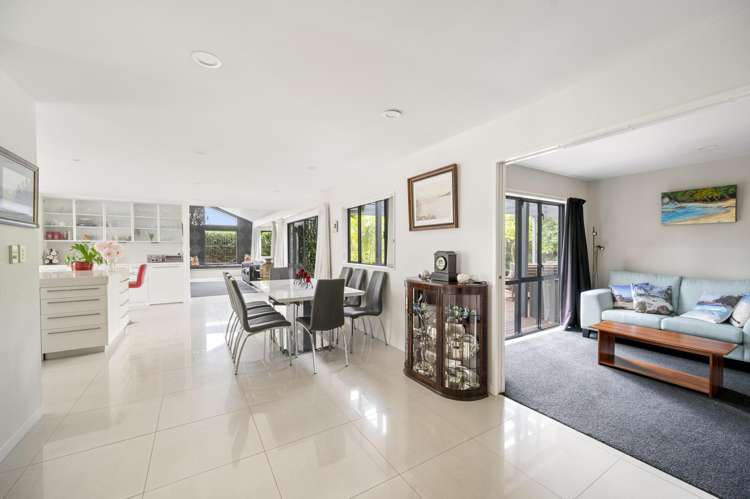 222 Guppy Road Taradale_6