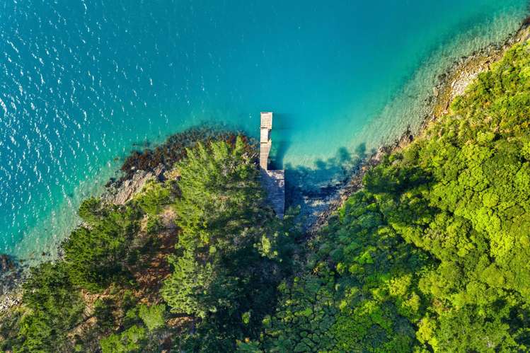 Lot 1 Maraetai Bay Queen Charlotte Sound_12