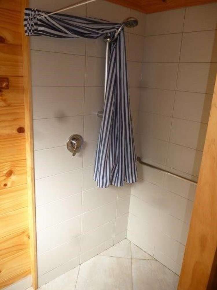 1163 Puniwhakau Road Pohokura and Surrounds_7