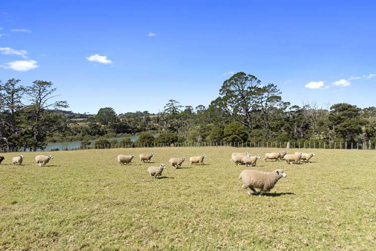 10 Edward Jonkers Drive Riverhead_27