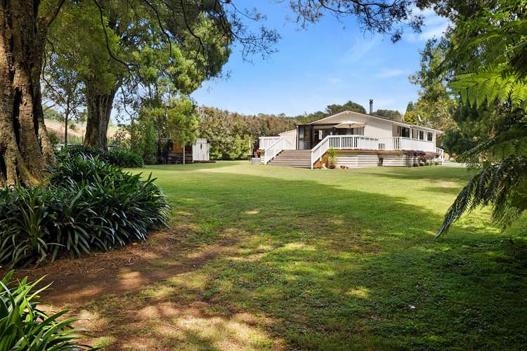 359a Tukapa Street Hurdon_30