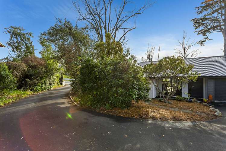 4c Will Street Green Island_13