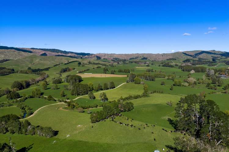 141 Te Mata Road Raglan_12