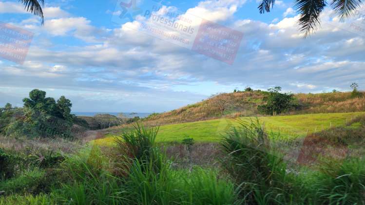 Address withheld Labasa_12