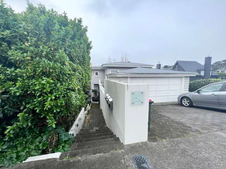 2/6A Taurarua Terrace Parnell_8