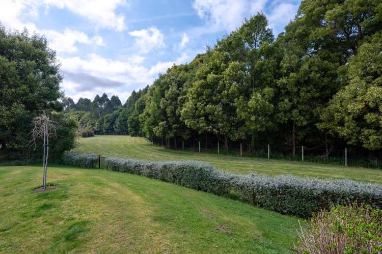 16 Lacebark Drive Kinloch_32