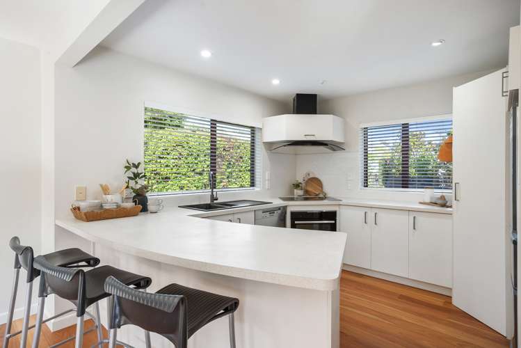 22a Dexter Avenue Mount Eden_7