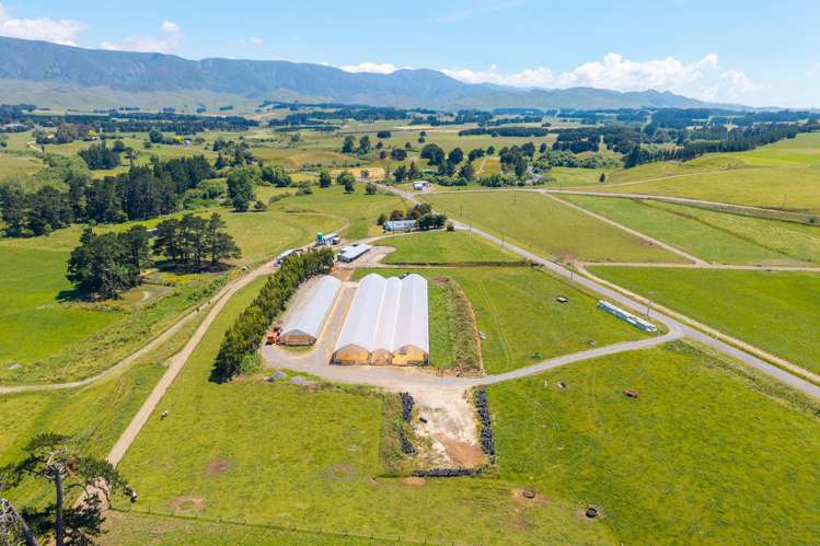493 Smith Road Dannevirke_12