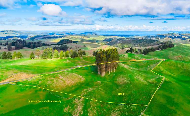 473 Otake Road Marotiri_8