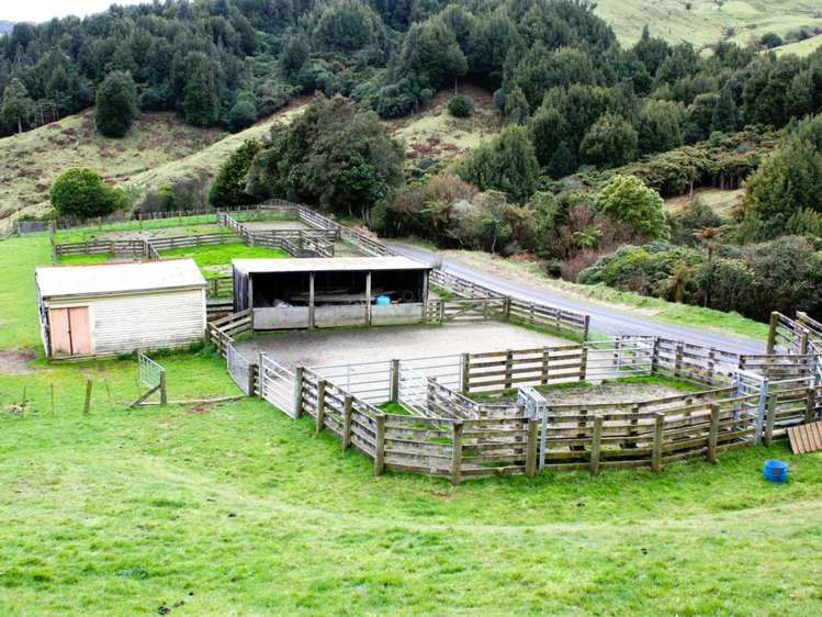 Mangakahu Valley Road Waimiha-Ongarue_30