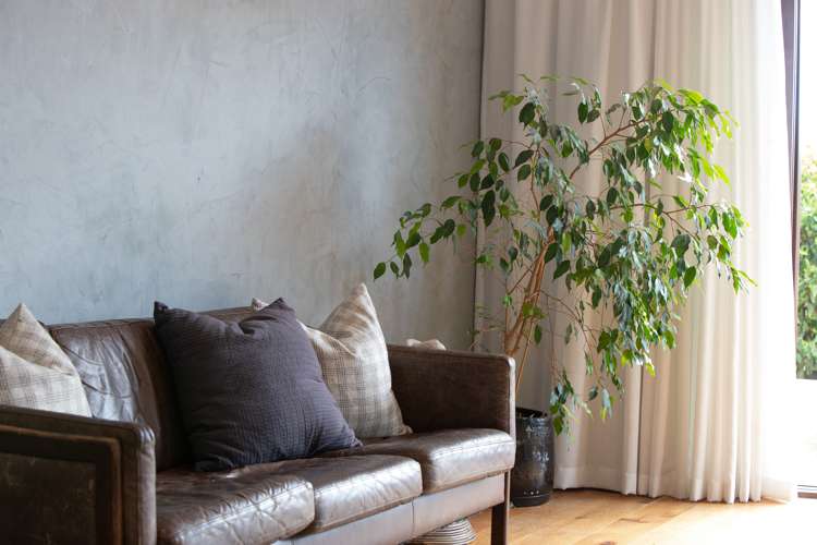 62 Conway Street Somerfield_26