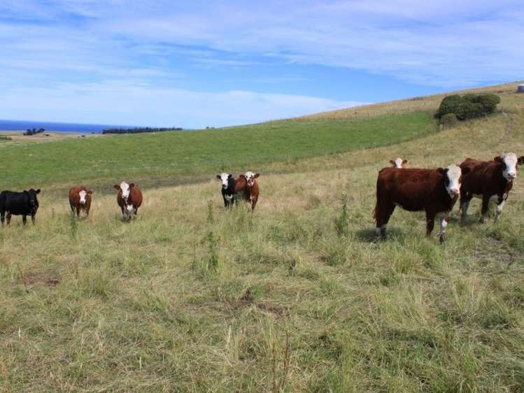 145 Adam Sutherland Road Palmerston_12