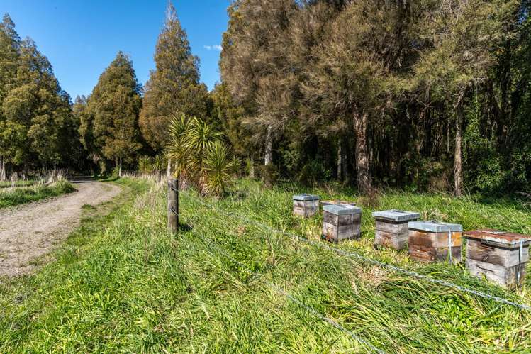 1807 Kahutara Road Kahutara_10