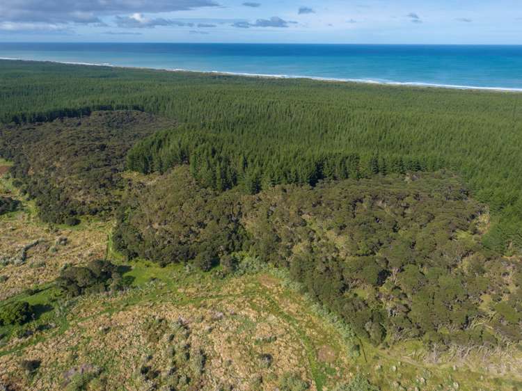 Lot 2/DP170782 Wilson Road South Head_24