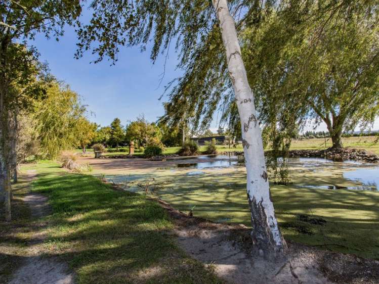 137 Smiths Road Leithfield_17