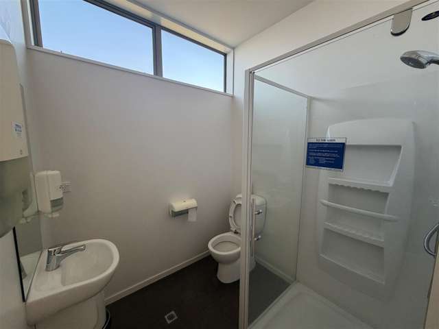 920 Colombo Street Saint Albans_4