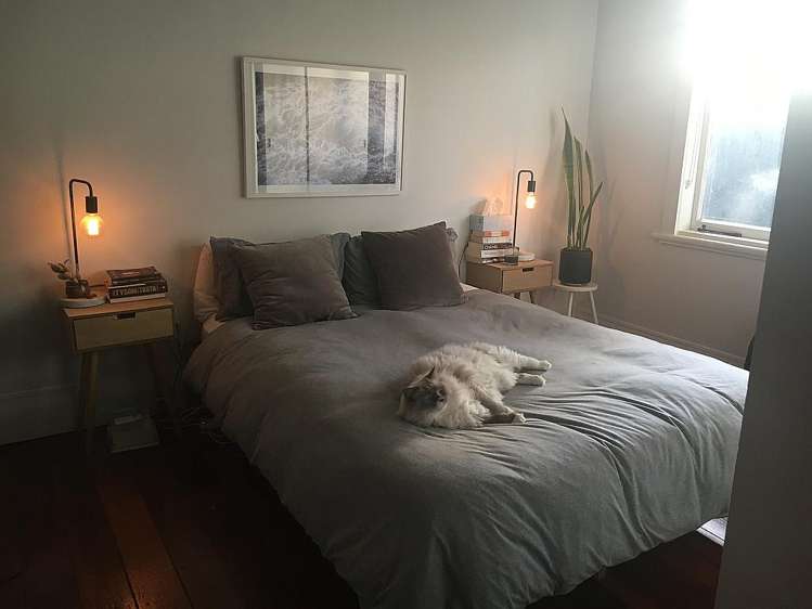 10 Jessel Street Grey Lynn_7