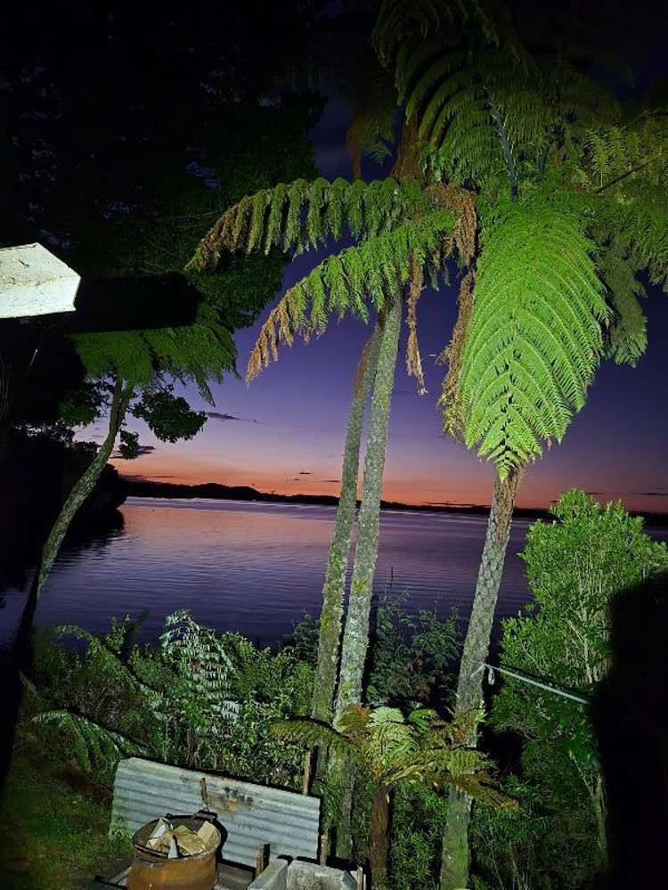 1477 State Highway 30 Rotoiti Forest_21