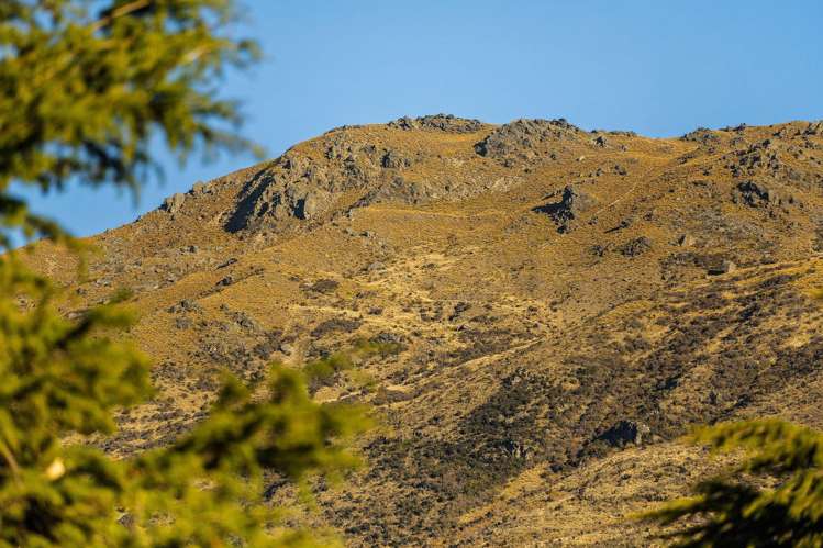 Gibbston Back Road Gibbston_8