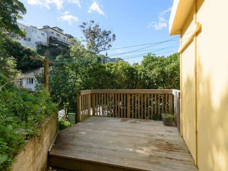 58c Norway Street Aro Valley_14