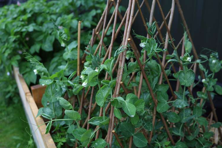 17 Tuke Lane Wanaka_14