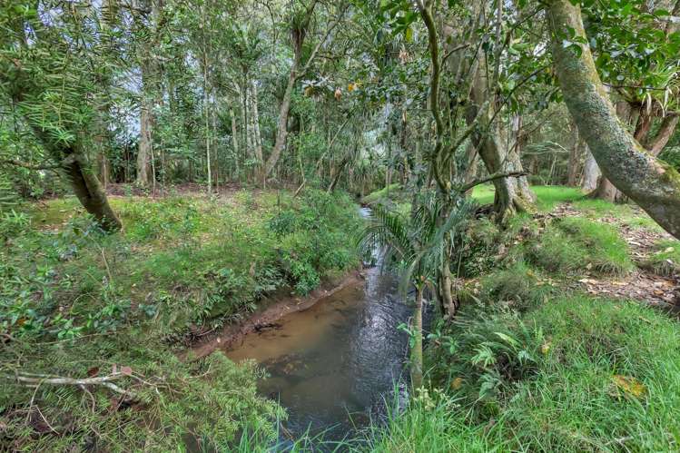 90 Mckinley Road Kokopu_39